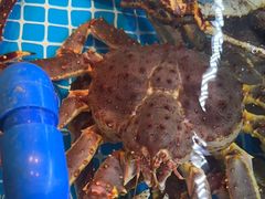 -ONE FULL 古董港式海鲜火锅