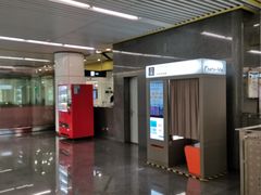 -平乐园(地铁站)