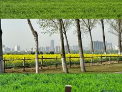 -汉长安城未央宫国家考古遗址公园