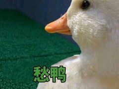 -豪客来牛排(中央花苑店)
