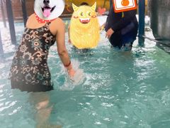 -南宫温泉水世界