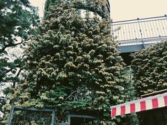 -三鹰之森吉卜力美术馆