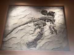 -辽宁古生物博物馆