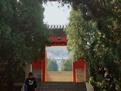 -龙口南山旅游景区