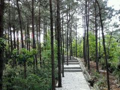 -红山村