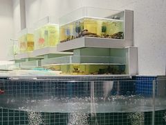 -至尊鲨鱼·原烹海鲜·新浙菜(拱宸桥店)