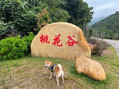 -马峦山郊野公园