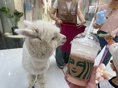 -万达广场(槐房店)