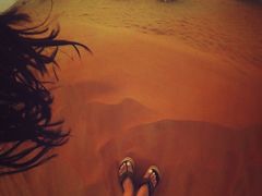 -迪拜帆船酒店海底餐厅