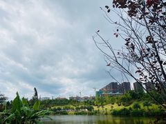 -枫香湖儿童公园