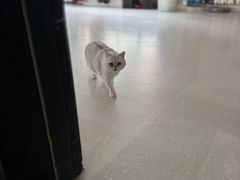 -M.S拳击泰拳馆(大学路店)