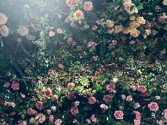 -第101座花园餐厅(湖滨88店)