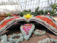 -石家庄市植物园