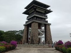 -大湾区中央湿地公园
