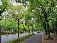 -美兰湖景区