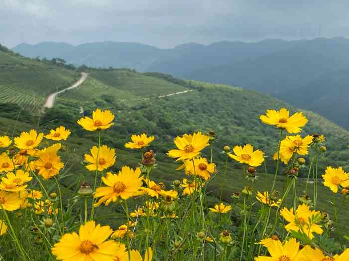 奉化白岩山