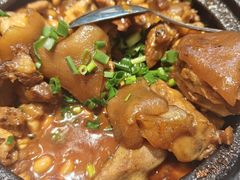 -新概念来凤鱼(璧山店)