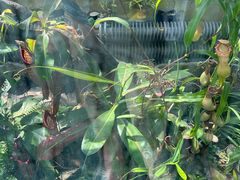 -国家植物园南园