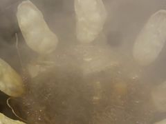 -铁锅年代地锅鸡•铁锅炖大鹅(黄家湖店)