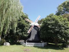 -上海鲜花港
