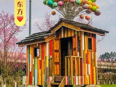 -秀丽东方