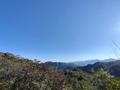 -大岭沟猕猴桃谷风景区