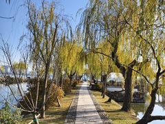 -无锡蠡湖国家湿地公园-蠡园