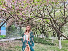 -西安青龙寺遗址景区