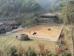 景观位-宁海安岚·南溪阁全日餐厅