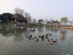 -玄武湖景区-情侣园游乐场