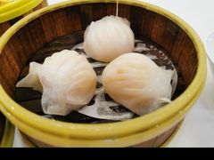 金鼎鮮味虾饺皇-广州酒家(文昌总店)