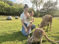 -泉州海丝野生动物世界