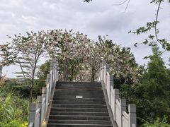 -四海公园(南山区)