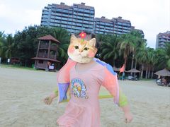 -三亚湾海居铂尔曼度假酒店