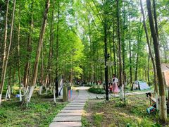 -桤木河湿地公园