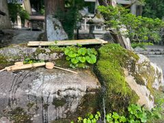 -白川乡与五箇山的合掌构造村落