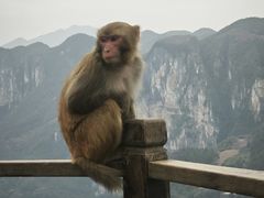 -重庆云阳龙缸景区