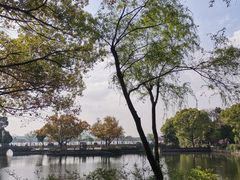 -无锡蠡湖国家湿地公园-蠡园
