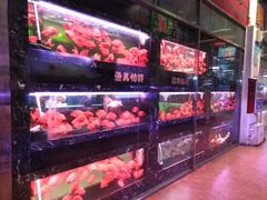 -大自然花鸟鱼虫市场
