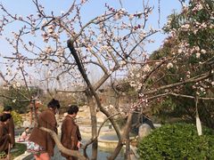 -思念果岭悦温泉