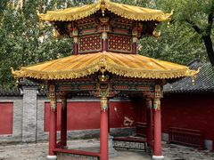 -护国法轮寺