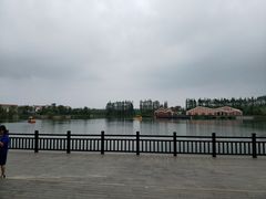 -上海长兴岛郊野公园