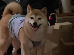 -About Bistro關於·泰式家庭料理