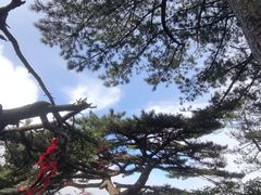 -罗田薄刀峰风景区