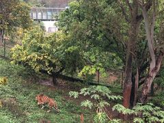 -深圳野生动物园