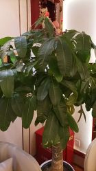 -茜尔维亚修身连锁(杨浦五角场店)