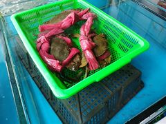 -马王堆海鲜水产市场