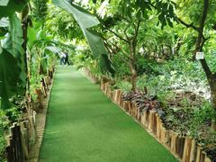 -呀路古热带植物园