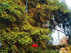 -辽宁大学(崇山校区)