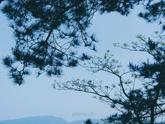 景点-方岩风景区